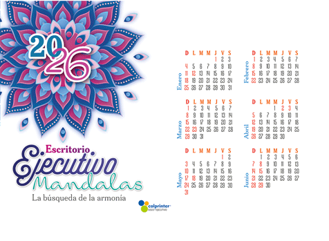 Escritorio Ejecutivo 